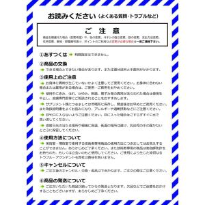 育毛剤 薬用 レイソー FUK 霊草 160m...の詳細画像3