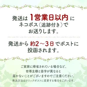 痛くない イヤリング 光沢パール 落ちにくい ...の詳細画像3