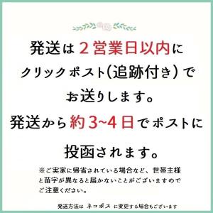 【練習用シール付】 マタニティフォト 双子用 ...の詳細画像5