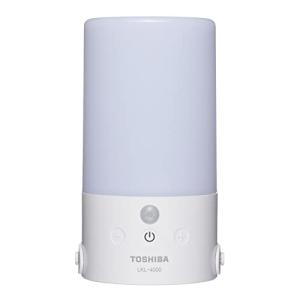 ルミカ(LUMICA) ツーウェイランタン L-21K ブラックラバー wyw801m Amazon | ルミカ(LUMICA) ツーウェイランタン L-21K ブラックラバー