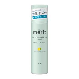 天照ル初めてセット 天照ル君ノシャンプー300ml＋天照ル君ノヘア
