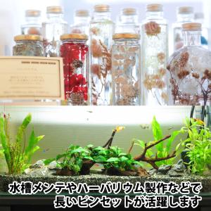 ロングピンセット 27cm 先端2種類セット ...の詳細画像3