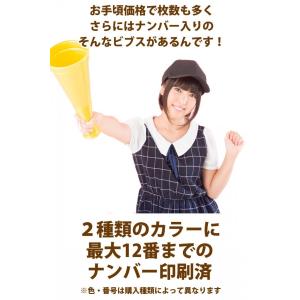 ビブス 1〜12番 12枚セット 正規品/30...の詳細画像4