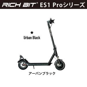 RICH BIT RICHBIT ES1 Pro / ES2 Pro 兼用 コンビニフック 荷物掛け