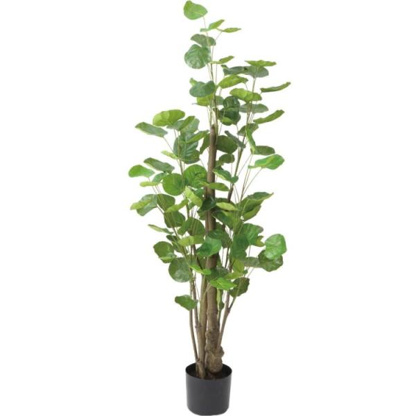 ポリシャスフリスビー 130cm｜GLP-1530 アーティフィシャルグリーン 人工観葉植物 鉢付き...