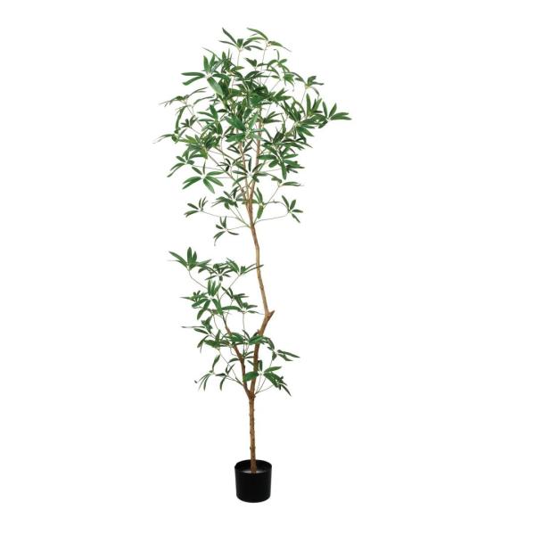 シェフレラアンガスティフォリア 180cm｜GLP-1568 アーティフィシャルグリーン 人工観葉植...