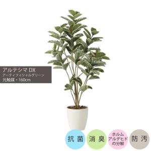 アルテシマDX1.6m｜GLPA-041 アーティフィシャルグリーン 人工観葉植物 鉢付きグリーン 可視光応答型光触媒 「V-CAT Tree」の商品画像