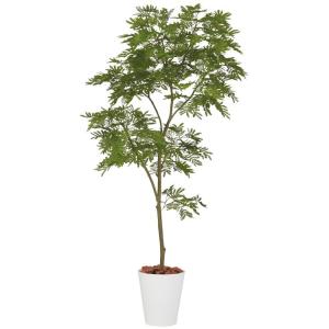 ヤシの木「フェニックスパームツリー」 人工観葉植物全長170cm : 上田