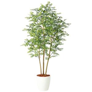 ゴールデンリーフ FST W80×H180cm 98969 アーティフィシャルグリーン 人工観葉植物 鉢付きグリーン