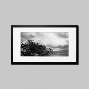IGREBOW ニューカレドニア グランドテール島 風で曲がった木 アイグレボウ インテリアフォト ウッド黒フレーム ビッグサイズ モノクローム