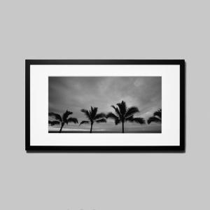 IGREBOW ニューカレドニア グランドテール島ヌメア 海岸のヤシの木 アイグレボウ インテリアフォト ウッド黒フレーム ビッグサイズ モノクローム
