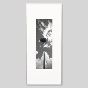 IGREBOW ニューカレドニア グランドテール島 高々と空に突き出すヤシの木 アイグレボウ インテリアフォト アルミフレーム ビッグサイズ モノクローム