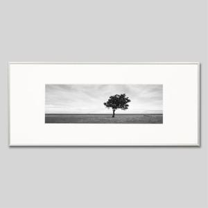 IGREBOW ニューカレドニア グランドテール島ヌヴィル 海岸の1本の木 アイグレボウ インテリアフォト アルミフレーム ビッグサイズ モノクローム