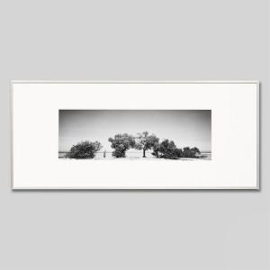 IGREBOW ニューカレドニア ビーチに生える木 ビッグサイズ アイグレボウ インテリアフォト アルミフレーム ビッグサイズ モノクローム