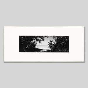 IGREBOW ニューカレドニア グランドテール島ポイプ ビーチの茂みから浜を除く アイグレボウ インテリアフォト アルミフレーム ビッグサイズ モノクローム