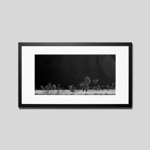 IGREBOW オーストラリア ウルル岩肌と草原の樹木 ビッグサイズ アイグレボウ インテリアフォト ウッド黒フレーム ビッグサイズ モノクローム