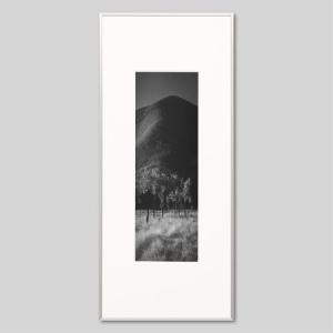 IGREBOW オーストラリア ウルル エアーズロックと草原と木 アイグレボウ インテリアフォト アルミフレーム ビッグサイズ モノクローム