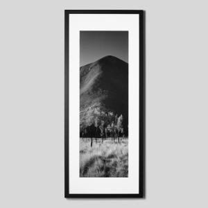 IGREBOW オーストラリア ウルル エアーズロックと草原と木 アイグレボウ インテリアフォト ウッド黒フレーム ビッグサイズ モノクローム