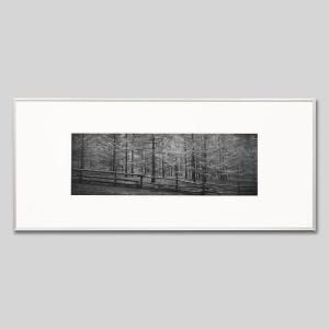 IGREBOW モンゴル テレルジ 紅葉の森 アイグレボウ インテリアフォト アルミフレーム ビッグサイズ モノクローム