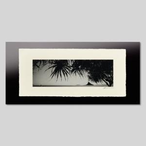 IGREBOW ハワイ ヤシの木と小島 ビッグサイズ アイグレボウ インテリアフォト 越前塗板フレーム ビッグサイズ モノクローム