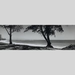 IGREBOW ハワイ オアフ島 ビーチと木陰...の詳細画像1