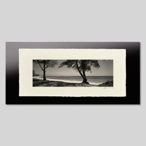 IGREBOW ハワイ オアフ島 ビーチと木陰 アイグレボウ インテリアフォト 越前塗板フレーム ビッグサイズ モノクローム