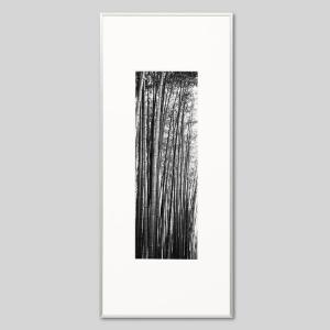 IGREBOW 京都 嵯峨野の竹林 ビッグサイズ アイグレボウ インテリアフォト アルミフレーム ビッグサイズ モノクローム
