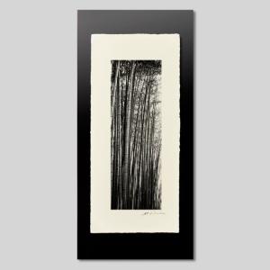 IGREBOW 京都 嵯峨野の竹林 ビッグサイズ アイグレボウ インテリアフォト 越前塗板フレーム ビッグサイズ モノクローム