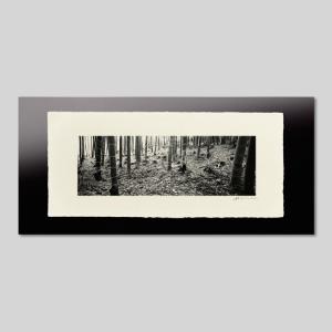 IGREBOW 京都 嵯峨野の竹林 ビッグサイズ アイグレボウ インテリアフォト 越前塗板フレーム ビッグサイズ モノクローム