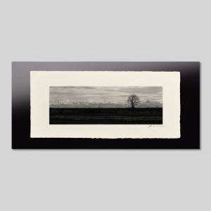 IGREBOW 石川県 能登島 堤防の木と立山連峰 ビッグサイズ アイグレボウ インテリアフォト 越前塗板フレーム ビッグサイズ モノクローム