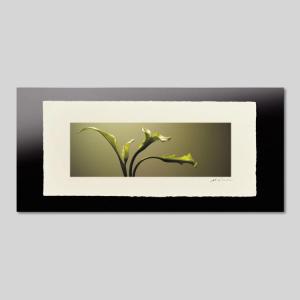 IGREBOW カラーの花 アイグレボウ インテリアフォト 越前塗板フレーム ビッグサイズ カラー写真