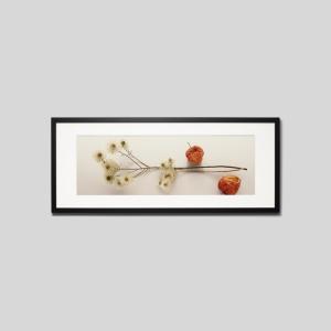 IGREBOW ドライフラワーとほおずき アイグレボウ インテリアフォト ウッド黒フレーム ビッグサイズ カラー写真