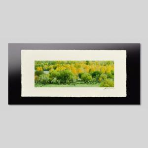 IGREBOW モンゴル テレルジ 紅葉と緑が混じる森 アイグレボウ インテリアフォト 越前塗板フレーム ビッグサイズ カラー写真