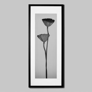 IGREBOW ハスの実 アイグレボウ インテリアフォト ウッド黒フレーム ビッグサイズ モノクローム