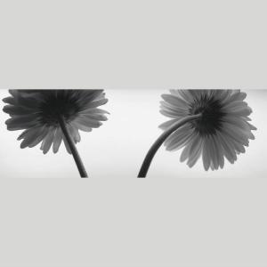 IGREBOW ガーベラの花 アイグレボウ イ...の詳細画像1