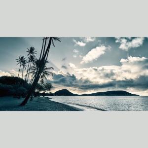 IGREBOW ハワイ 夜明けの海 カワイホア...の詳細画像1