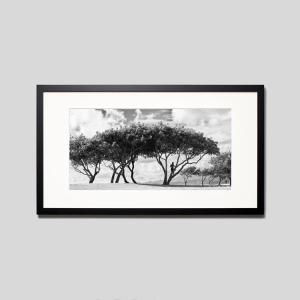 IGREBOW ハワイ クアロアビーチとロコの青年 アイグレボウ インテリアフォト ウッド黒フレーム ビッグサイズ モノクローム