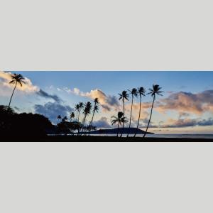 IGREBOW ハワイ 夜明けの海 ヤシの木の...の詳細画像1