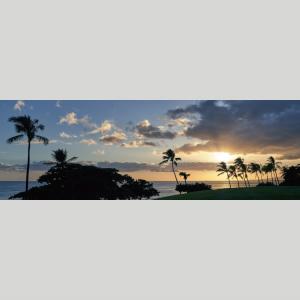 IGREBOW ハワイ 夕暮れの海とヤシの木 ...の詳細画像1