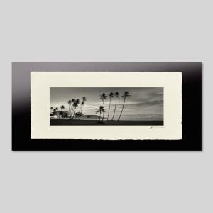 IGREBOW ハワイ 夜明けのカワイクイビーチとヤシの木 ビッグサイズ アイグレボウ インテリアフォト 越前塗板フレーム ビッグサイズ モノクローム
