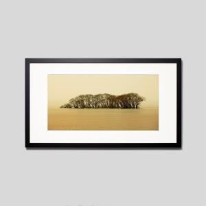 IGREBOW 滋賀県 琵琶湖に浮かぶ小島 ビッグサイズ アイグレボウ インテリアフォト ウッド黒フレーム ビッグサイズ モノクローム