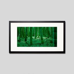 IGREBOW 京都 嵯峨野の竹林 アイグレボウ インテリアフォト ウッド黒フレーム ビッグサイズ カラー写真