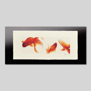 IGREBOW 金魚 アイグレボウ インテリアフ...の商品画像