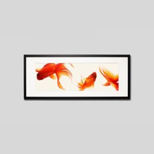IGREBOW 金魚 アイグレボウ インテリアフォト ウッド黒フレーム ビッグサイズ カラー写真