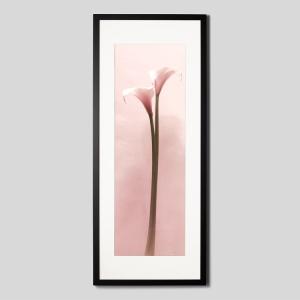 IGREBOW カラーの花 アイグレボウ インテ...の商品画像