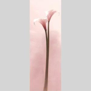 IGREBOW カラーの花 アイグレボウ イン...の詳細画像1
