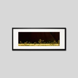 IGREBOW オーストラリア ウルル 岩壁と草原 アイグレボウ インテリアフォト ウッド黒フレーム ビッグサイズ カラー写真