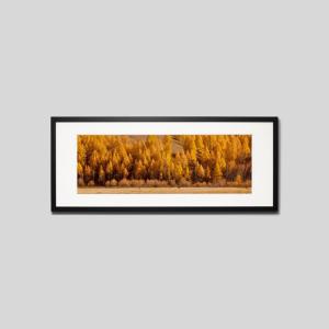 IGREBOW モンゴル テレルジ 紅葉の森 ア...の商品画像