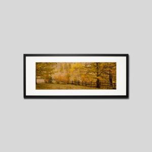 IGREBOW モンゴル テレルジの森 アイグレボウ インテリアフォト ウッド黒フレーム ビッグサイズ カラー写真