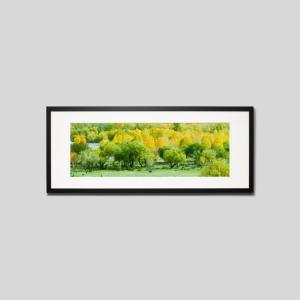 IGREBOW モンゴル テレルジ 紅葉と緑が混じる森 アイグレボウ インテリアフォト ウッド黒フレーム ビッグサイズ カラー写真